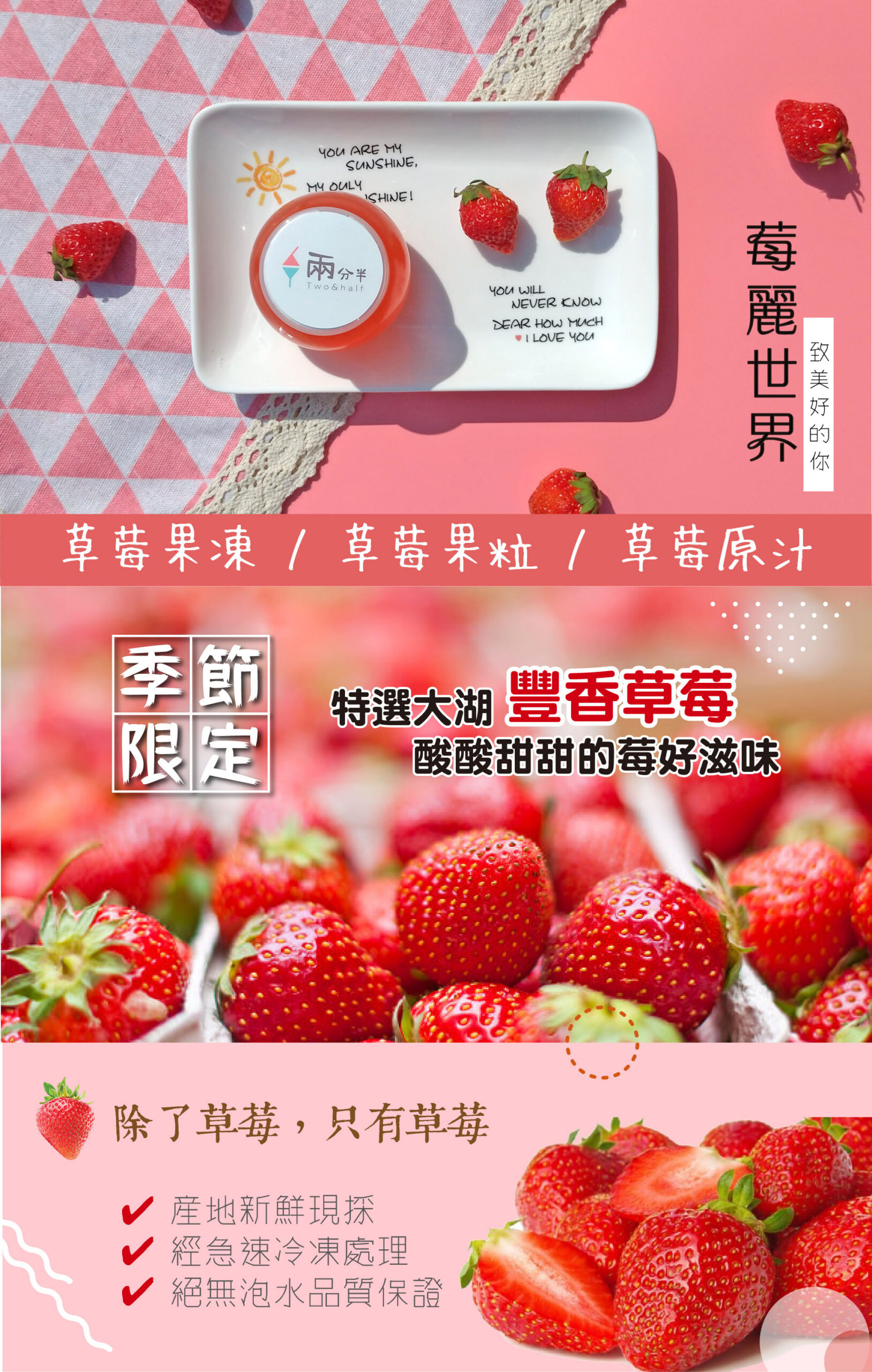莓麗世界完整介紹